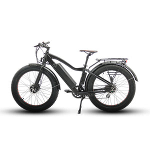 Euronau FAT-AWD Fat Tire 48V Dual Motor Electric Bike