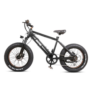 NAKTO 48V/8Ah 350W Fat Tire Electric Bike DISCOVERY