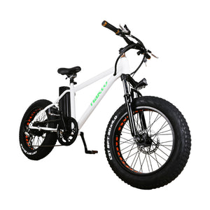 NAKTO 36V/10Ah 300W Fat Tire Electric Bike MINI CRUISER