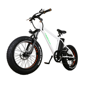 NAKTO 36V/10Ah 300W Fat Tire Electric Bike MINI CRUISER