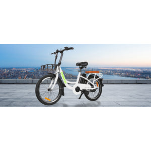 NAKTO 36V/10Ah 250W Cargo Electric Bike PONY