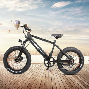 NAKTO 48V/8Ah 350W Fat Tire Electric Bike DISCOVERY