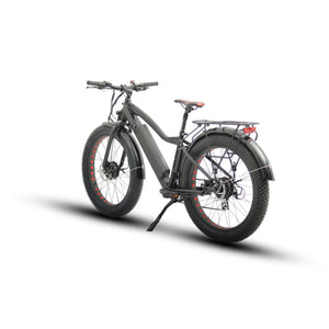 Euronau FAT-AWD Fat Tire 48V Dual Motor Electric Bike