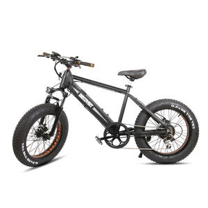 NAKTO 48V/8Ah 350W Fat Tire Electric Bike DISCOVERY