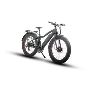 Euronau FAT-AWD Fat Tire 48V Dual Motor Electric Bike