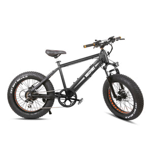 NAKTO 48V/8Ah 350W Fat Tire Electric Bike DISCOVERY