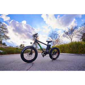 NAKTO 36V/10Ah 300W Fat Tire Electric Bike MINI CRUISER