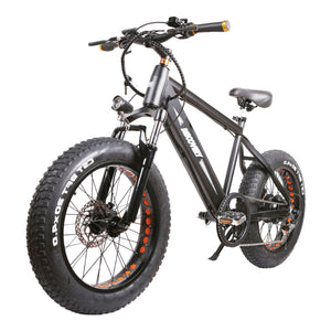 NAKTO 48V/8Ah 350W Fat Tire Electric Bike DISCOVERY