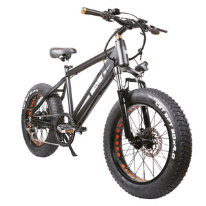 NAKTO 48V/8Ah 350W Fat Tire Electric Bike DISCOVERY