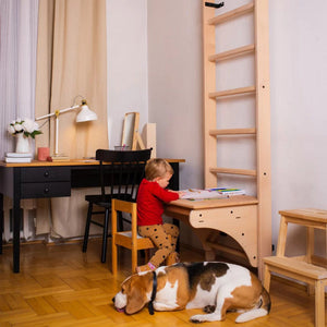 Wooden stall bars childrens ladder for home – BenchK 112 with desk