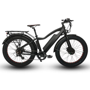 Euronau FAT-AWD Fat Tire 48V Dual Motor Electric Bike