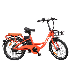 NAKTO 36V/10Ah 250W Cargo Electric Bike PONY