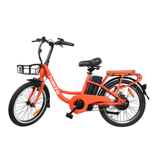 NAKTO 36V/10Ah 250W Cargo Electric Bike PONY