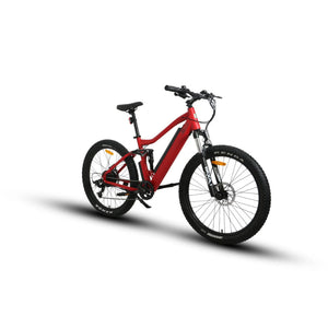 Euronau UHVO Electric Bicycle 36V