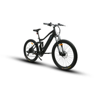 Euronau UHVO Electric Bicycle 36V