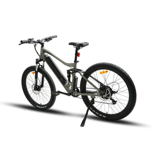 Euronau UHVO Electric Bicycle 36V