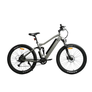 Euronau UHVO Electric Bicycle 36V