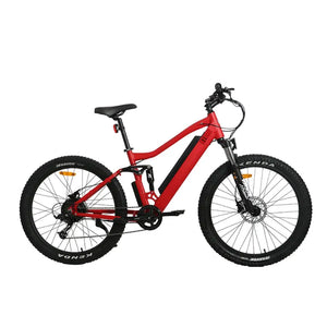 Euronau UHVO Electric Bicycle 36V