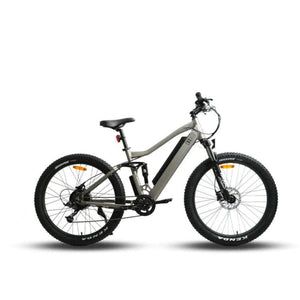 Euronau UHVO Electric Bicycle 36V