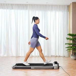 Kingsmith WalkingPad R2 Walk&Run 2IN1 Foldable Treadmill