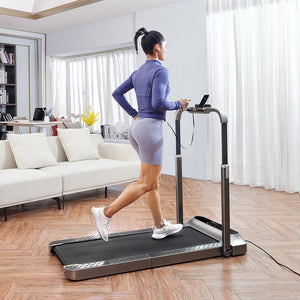 Kingsmith WalkingPad R2 Walk&Run 2IN1 Foldable Treadmill