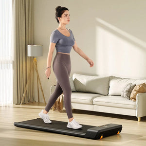 Kingsmith Walkingpad A1Pro Walking Treadmill