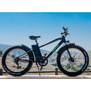 NAKTO 36V/10Ah 300W Fat Tire Electric Bike CRUISER