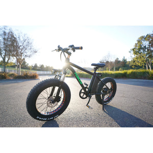 NAKTO 36V/10Ah 300W Fat Tire Electric Bike MINI CRUISER